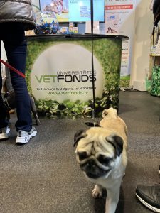 PetExpo suns Vetfonda stendā