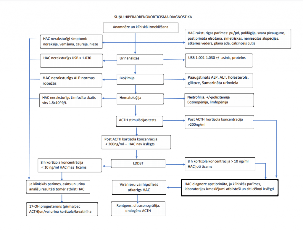 SUŅU HIPERADRENOKORTICISMA DIAGNOSTIKA