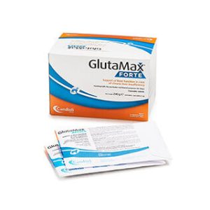 GlutaMax Forte N120