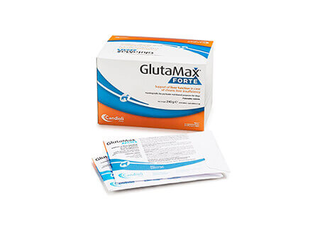 GlutaMax Forte N120
