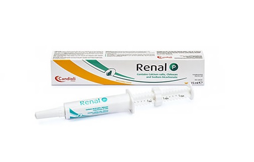 Renal P pasta 15ml
