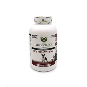 UT Strength STAT dog N90