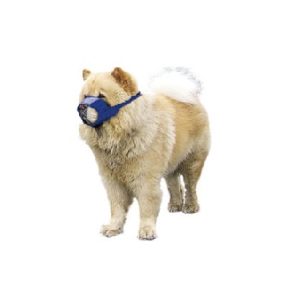 Uzpurnis sunim, Čau-Čau