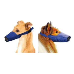 Uzpurnis suņiem ar gariem purniem