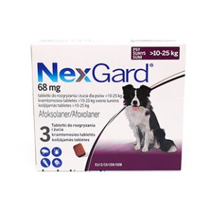 Nexgard dog L 10-25kg N3