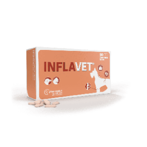 Inflavet N60