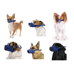 Uzpurņi suņiem - standarta