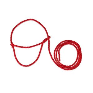 Apauši govīm, jaunlopiem - sarkani