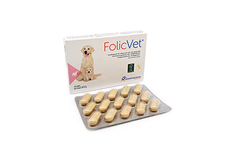 FolicVet 10mg N15