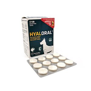 Hyaloral Giant N120