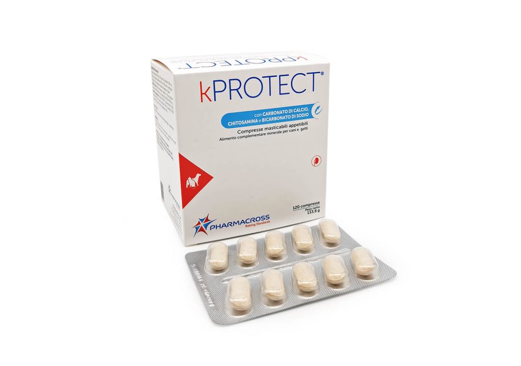 kPROTECT N120