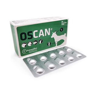 Oscan N60