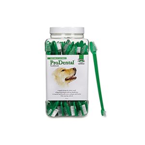 Zobu birste ar 2 galiem N1