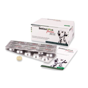 Dehinel Plus Flavour tabletes N100