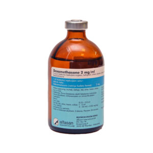 Dexamethasone 2mg/ml, 100ml