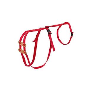 Dzemdes prolapsa fiksators aitām