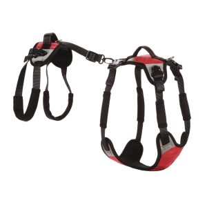 Pacēlājs suņiem "Lift & Go"