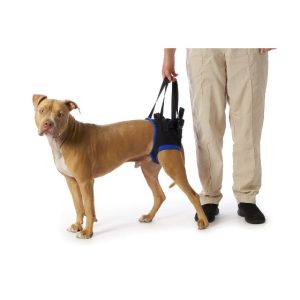 Pacēlājs suņiem, Walkabout