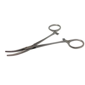 Saspiednes asinsvadu Kelly liektas