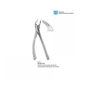 Zobu maigles Amerikāņu modelis