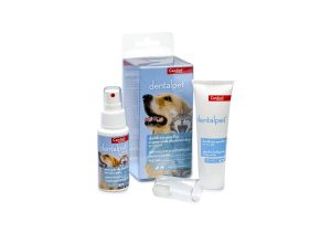 Dental pet komplekts