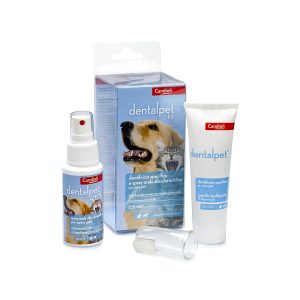 Dental pet komplekts