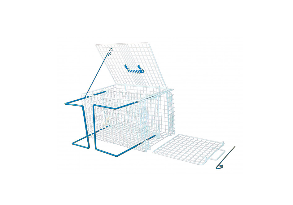 Būris kaķu fiksācijai