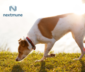 Jaunums alerģiju diagnostikā