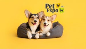 Divi suņi gultā uz dzeltena fona