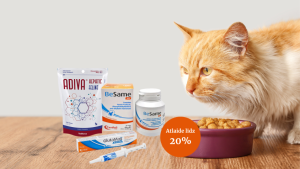 Septembra īpašais piedāvājums. Atlaide līdz 20%