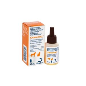 Canaural ausu pilieni