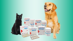 Novembra akcijas preces no Pharmacross